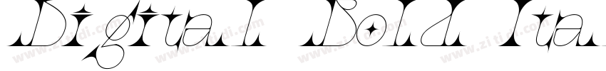 Digital Bold Itali字体转换